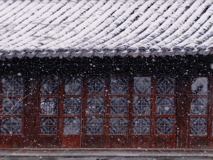 snow falling on the roof and windows of a building
