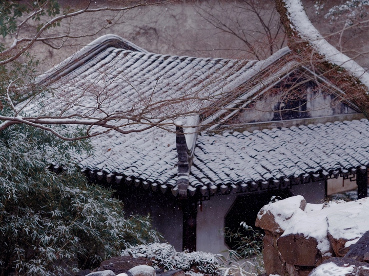 下一棵树旁边有一座被雪覆盖的小建筑