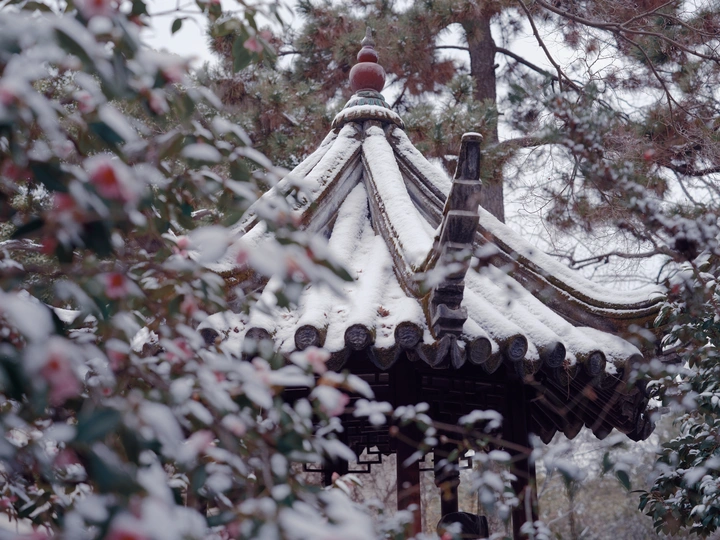 雪覆盖了塔的屋顶和树。