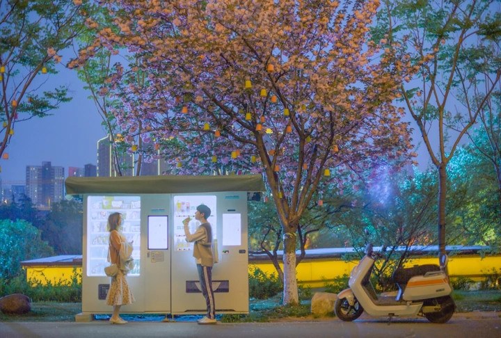 樱花树下