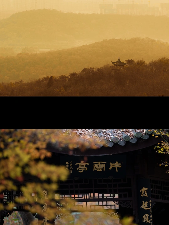 山顶上的一个塔和树木以及背景中的城市的一张图片