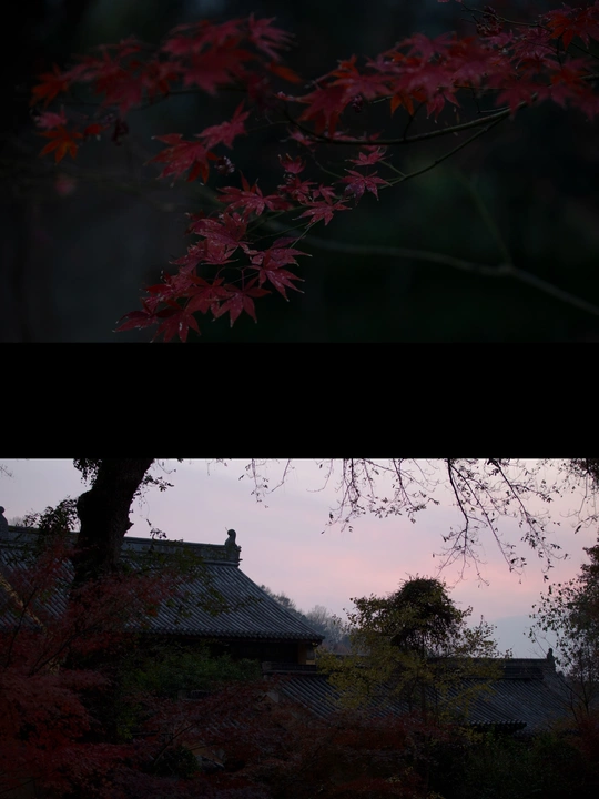 房子和一棵树 背景是红天空的图片