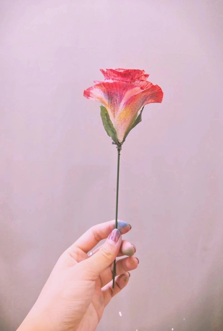 花（无修版）