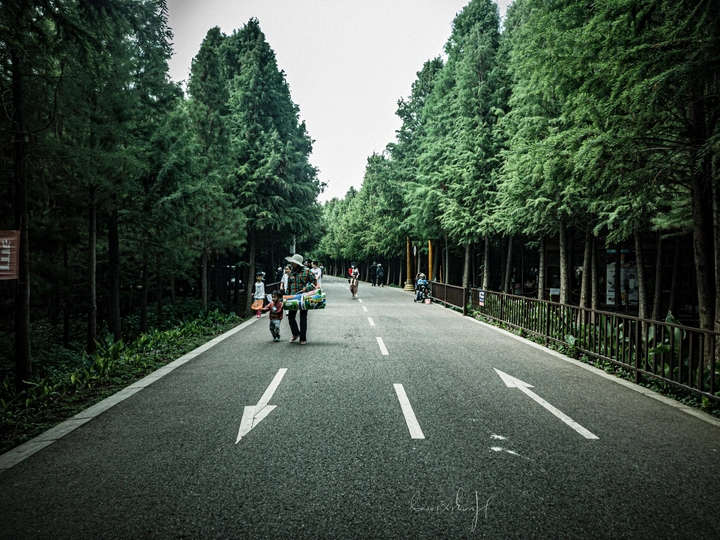 在路上