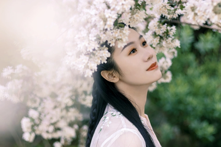 抓住春天的尾巴去拍花