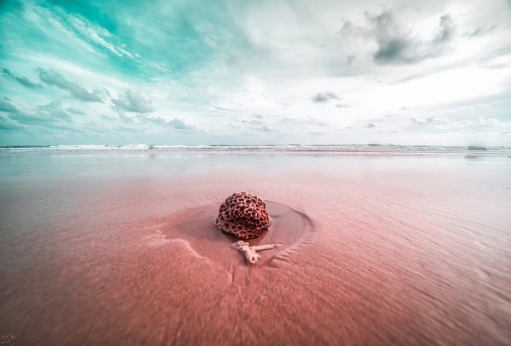 海之语