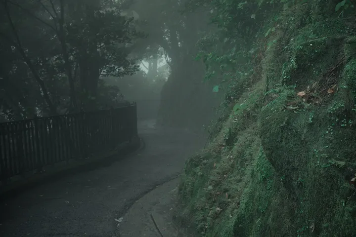 曲径通幽