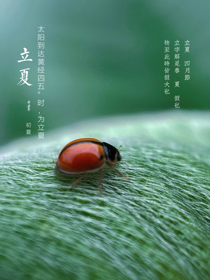 立夏