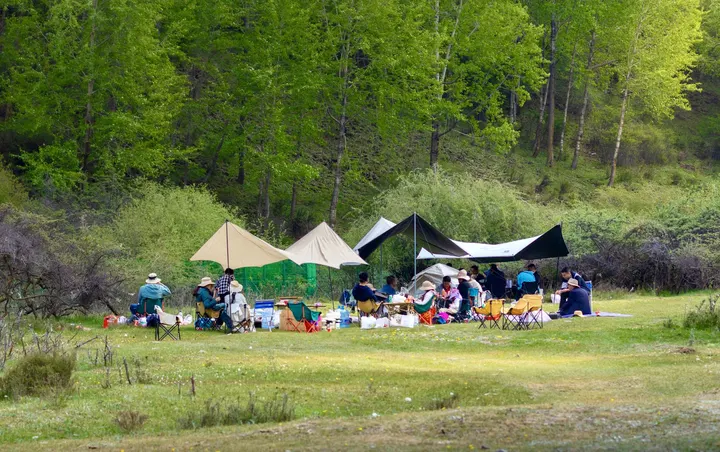 露营⛺️