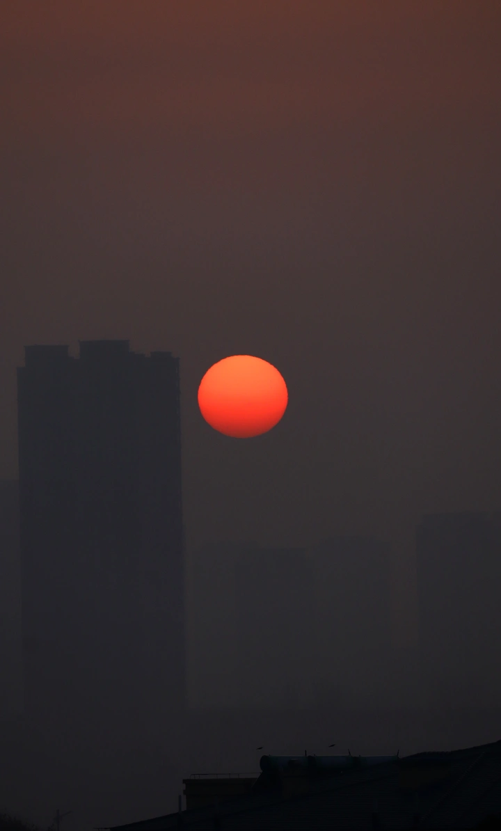 旭日东升