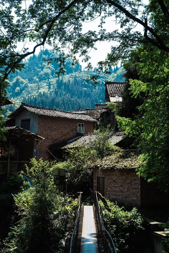 一座木桥通往山脉中的一座小村庄 沿途有树木。