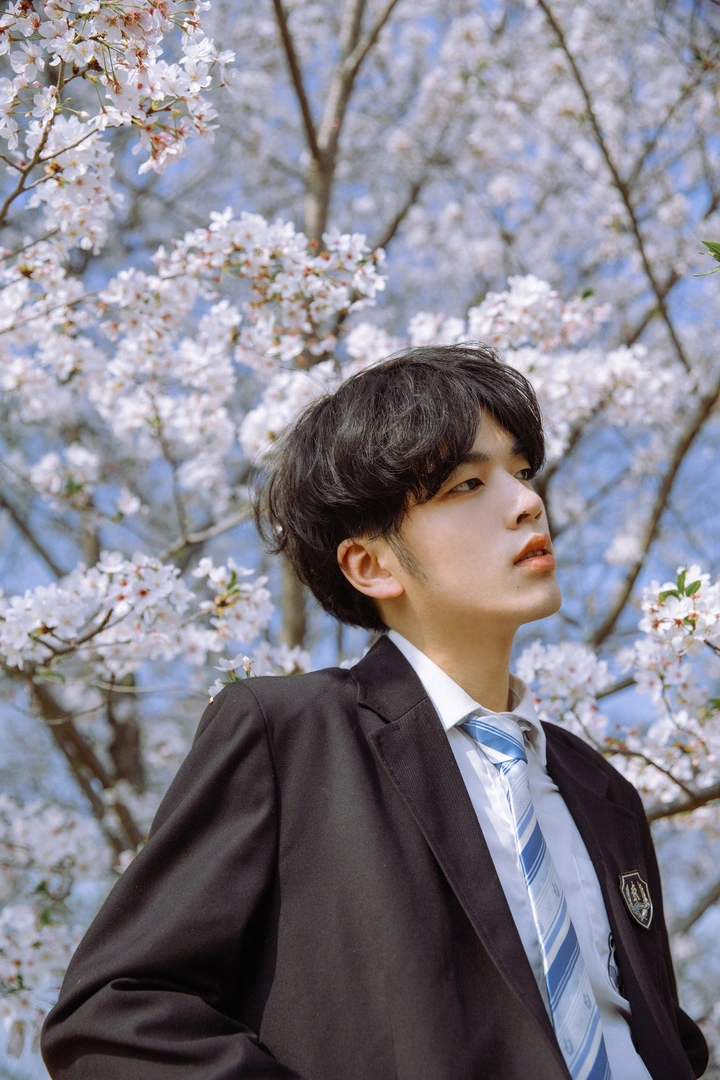 樱花与少年