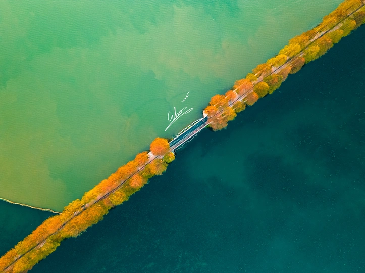 有绿树和长舟的湖泊或河流的鸟瞰图