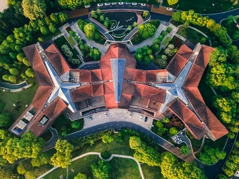 树木环绕的房子的鸟瞰图