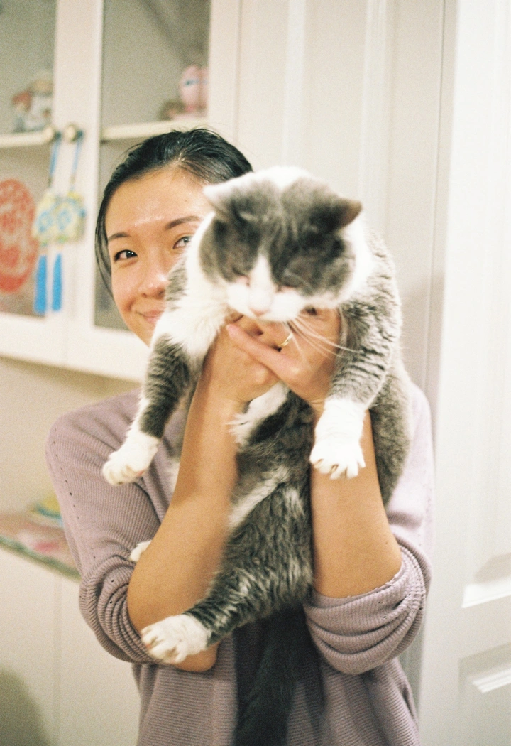 表姐与猫