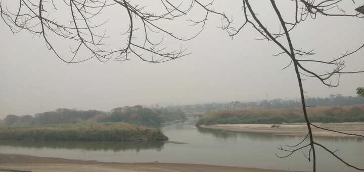 春江水暖