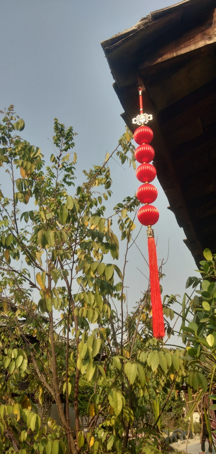 迎春