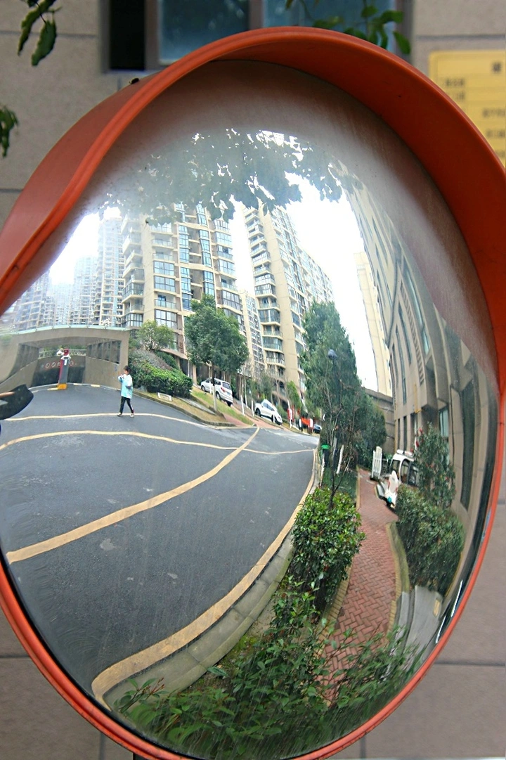 别样风光一摄于浙江海宁缔艺家园