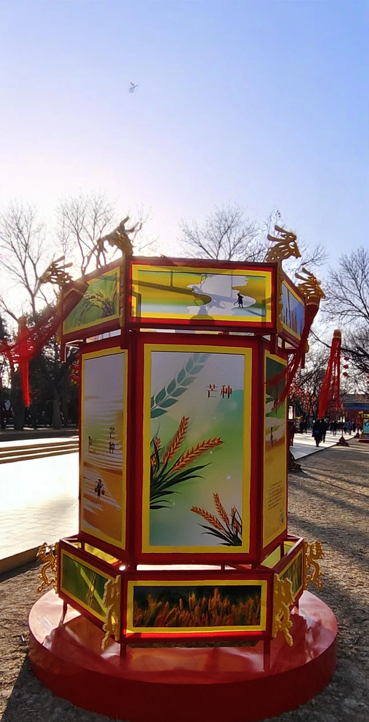 今日芒种一宫灯与灯画