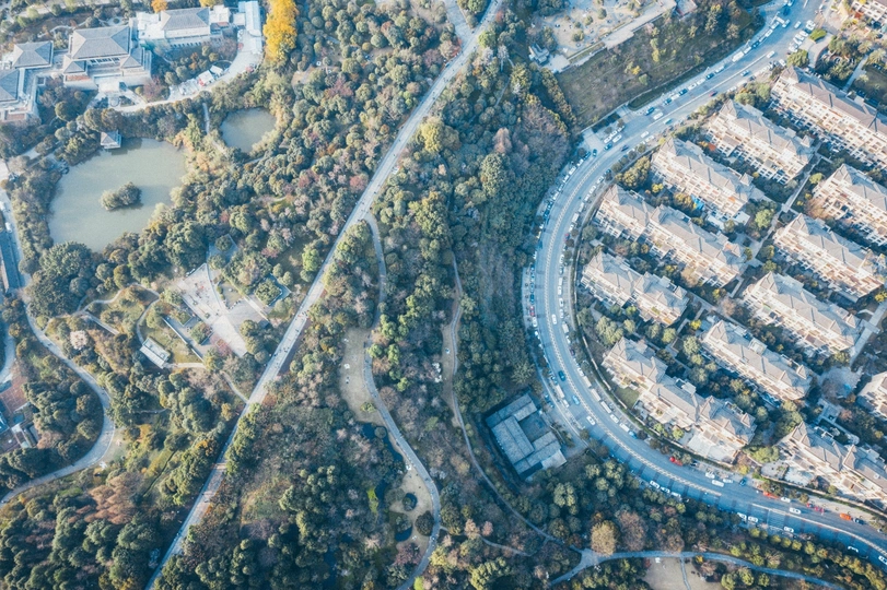 有道路和树木的城市鸟瞰图