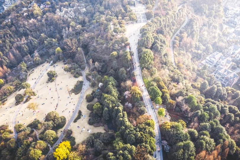 城市附近森林中道路的鸟瞰图