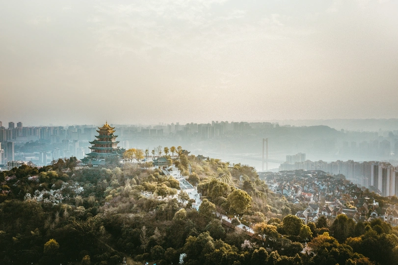 前景是树木的城市鸟瞰图