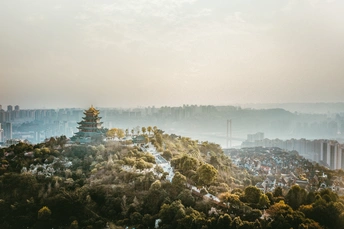 前景是树木的城市鸟瞰图