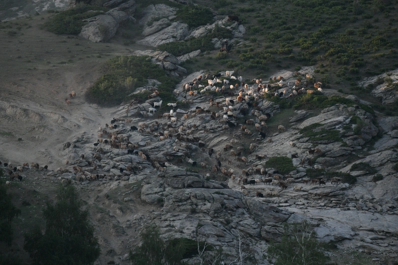 岩石山上的羊群与小屋