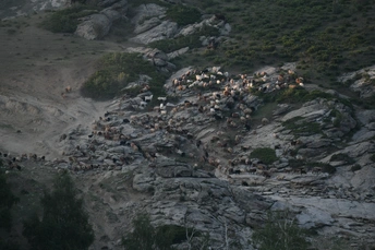 岩石山上的羊群与小屋