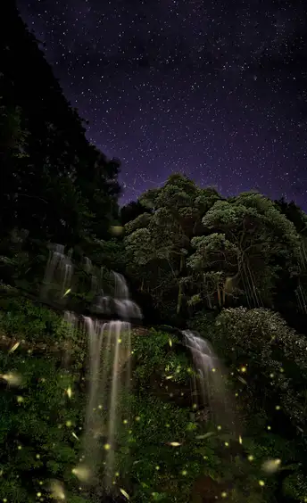 夜间的森林瀑布 天空中繁星闪烁