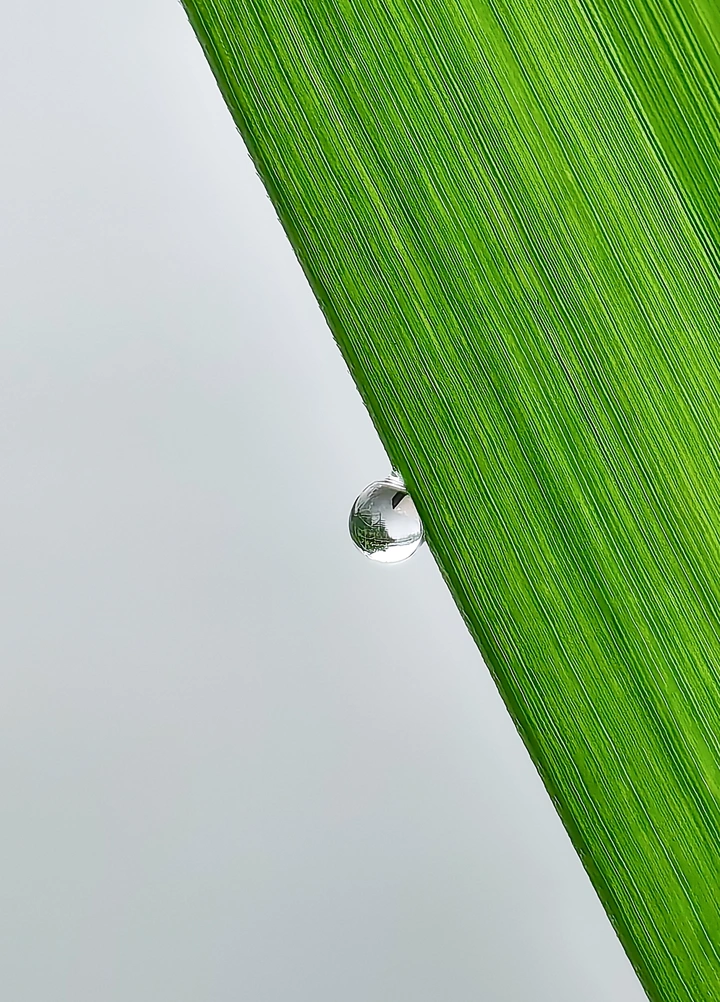 雨后