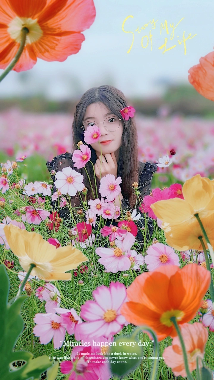 格桑花