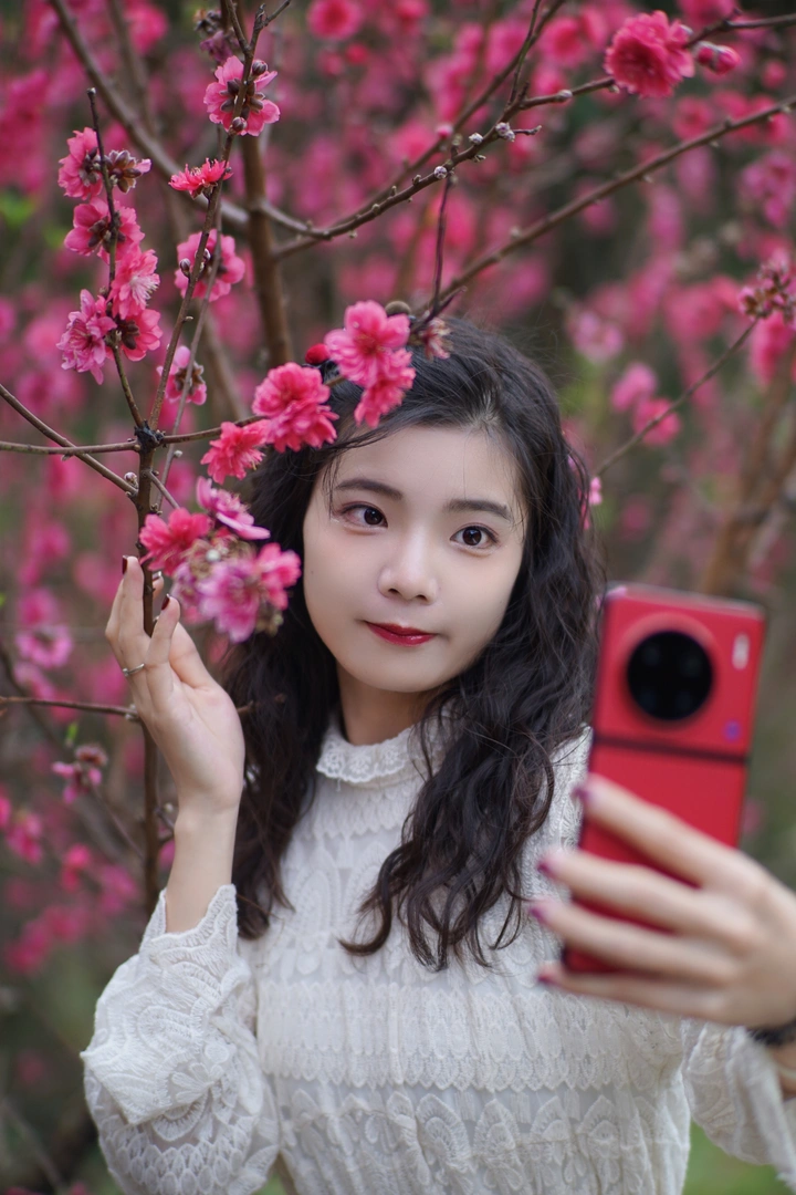 桃之夭夭，灼灼其华