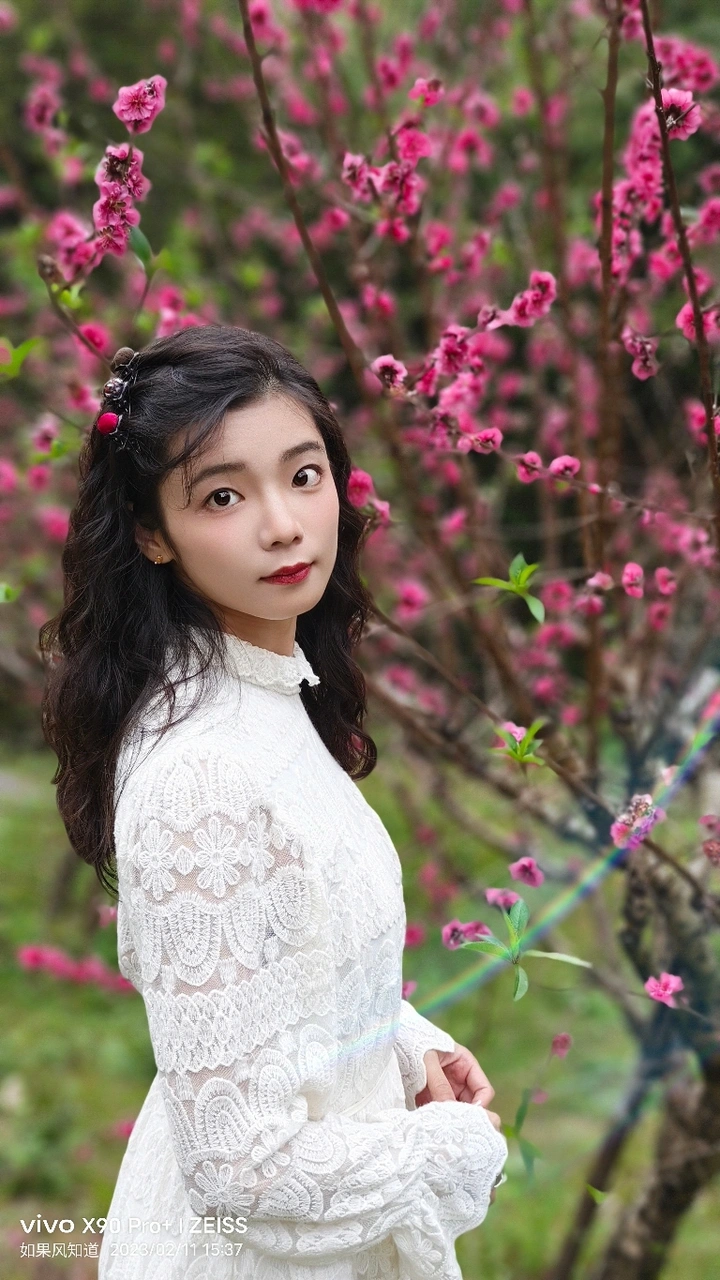桃花源记