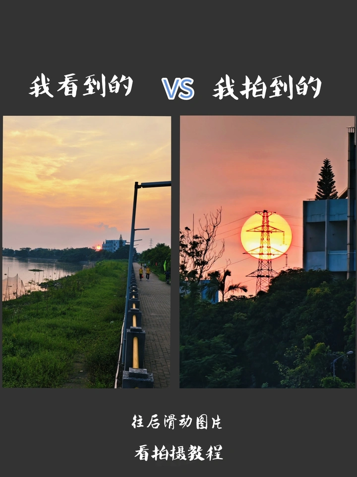 小鸟也在欣赏日落