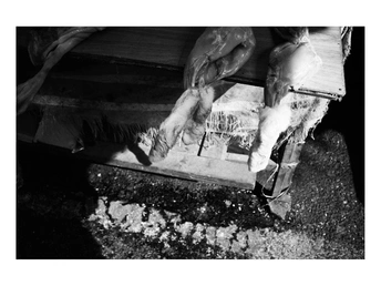 拿着鱼的人的手