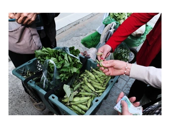 在市场上 一名妇女把手伸进一盒新鲜的绿豌豆里 背景是其他几箱食物