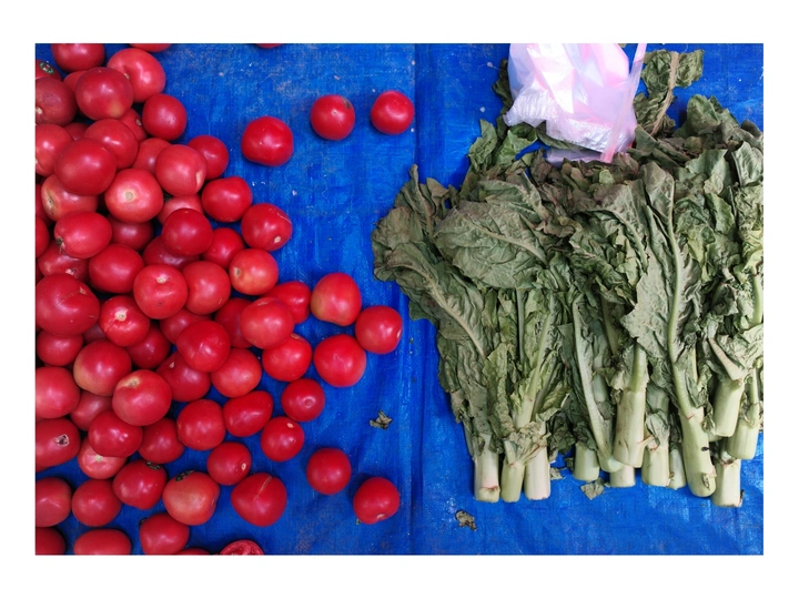 新鲜农产品 包括苹果、樱桃、西红柿和萝卜