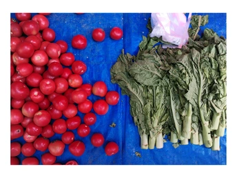 新鲜农产品 包括苹果、樱桃、西红柿和萝卜