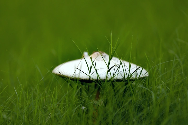 雨后