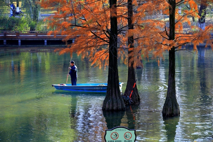 秋