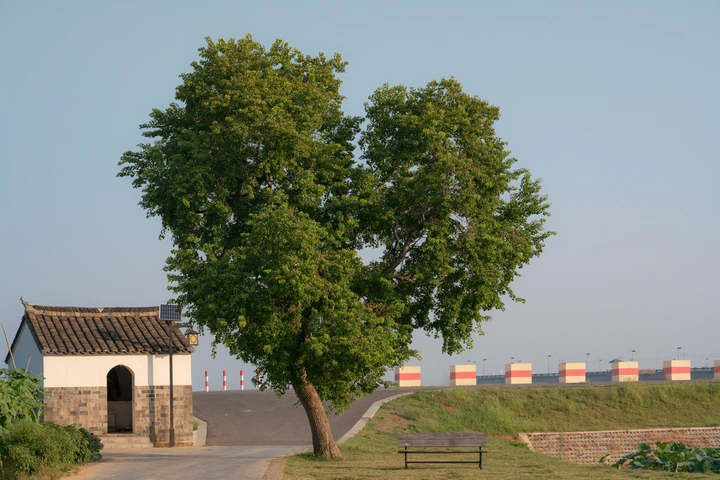 romantic