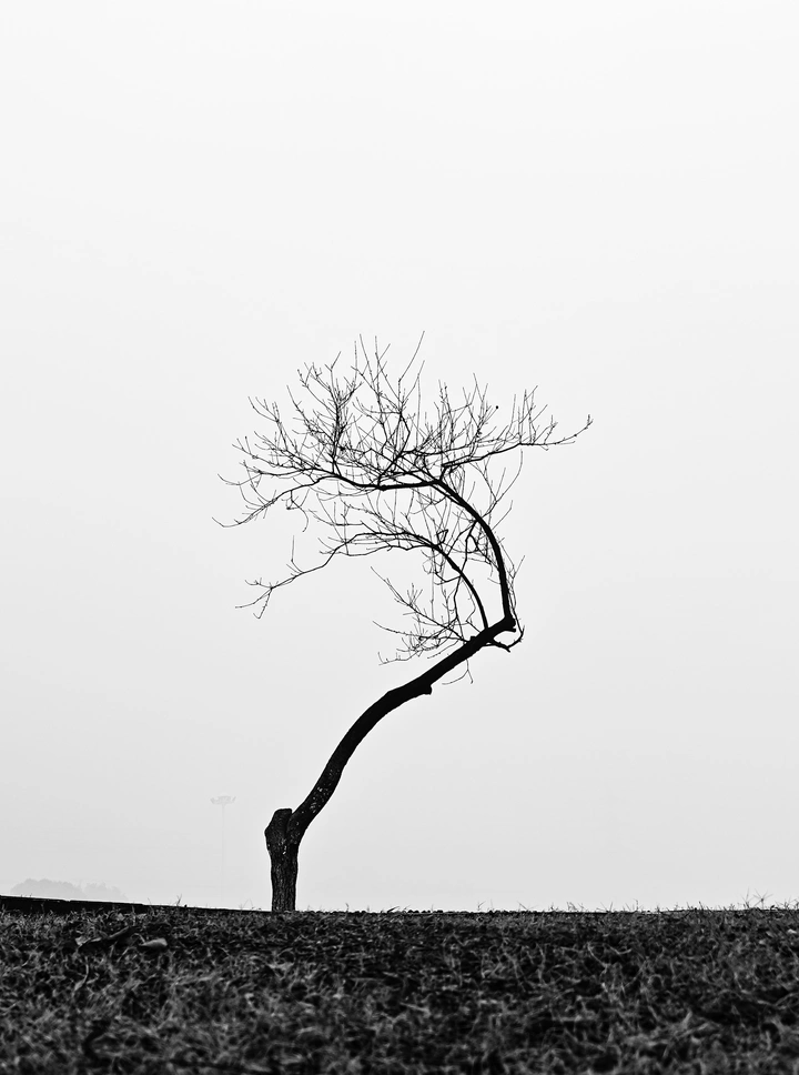 “鹿”