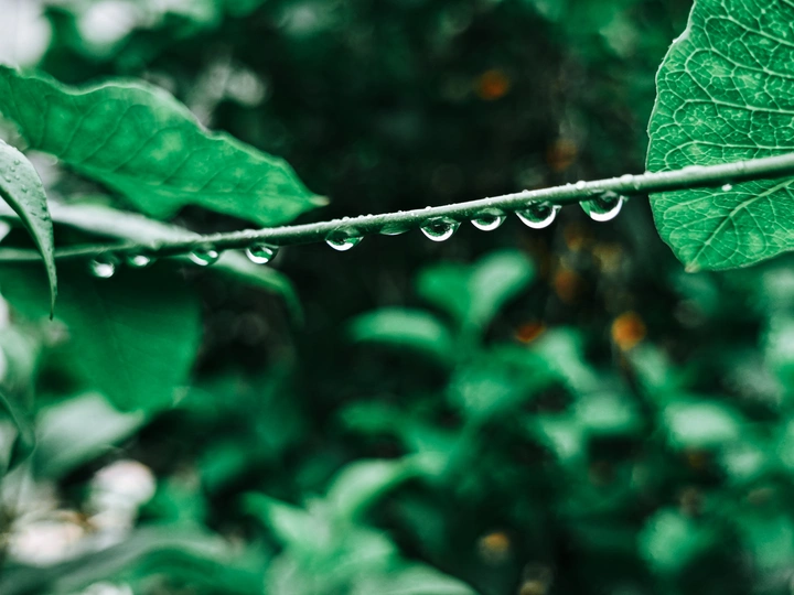 柒月玖号·小雨