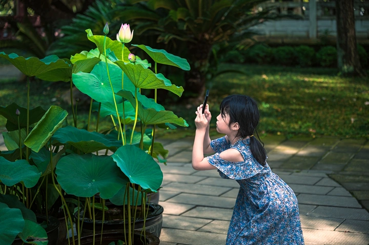 拍荷花的小姑娘