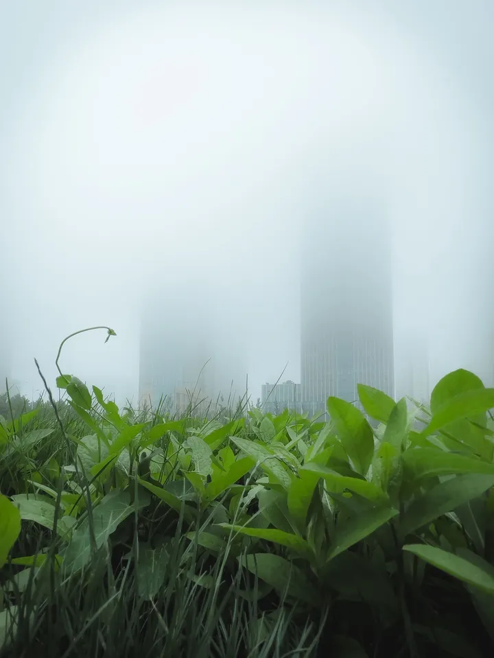 雾中迷城