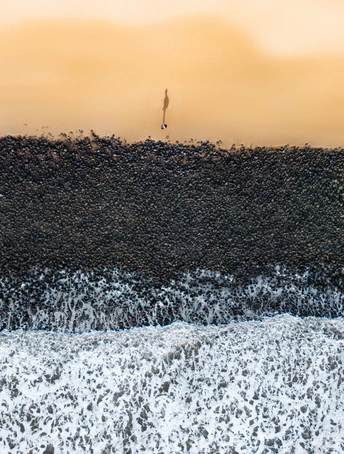 夕阳下海滩 海浪拍打着海岸 海鸟在黑色的沙滩上飞翔。