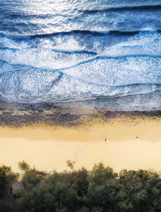 沙质海滩的 aerial view 包括水和树木 以及沙子。