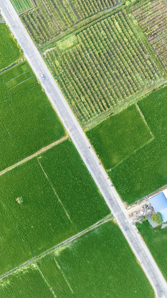 农田和绿色的草地 aerial photo