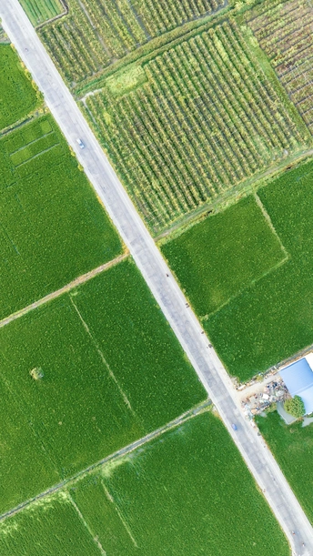 农田和绿色的草地 aerial photo